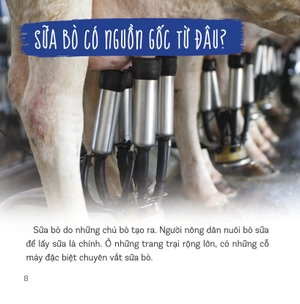 healthy eating - ăn uống lành mạnh - sữa và các sản phẩm từ sữa