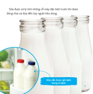 healthy eating - ăn uống lành mạnh - sữa và các sản phẩm từ sữa