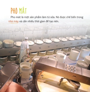 healthy eating - ăn uống lành mạnh - sữa và các sản phẩm từ sữa