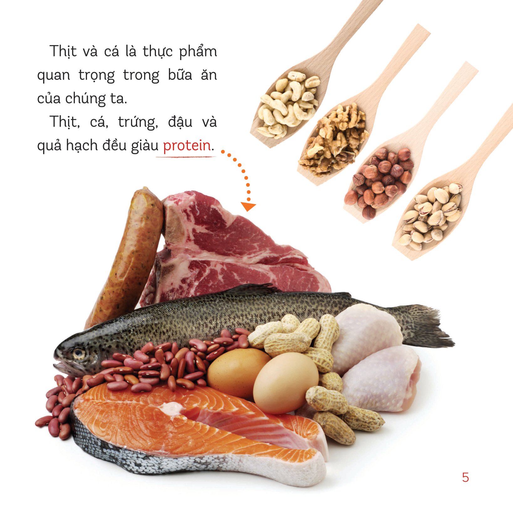 healthy eating - ăn uống lành mạnh - thịt và cá