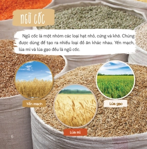 healthy eating - ăn uống lành mạnh - thực phẩm giàu tinh bột