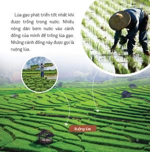 healthy eating - ăn uống lành mạnh - thực phẩm giàu tinh bột