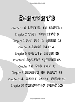 heidi heckelbeck and the christmas surprise