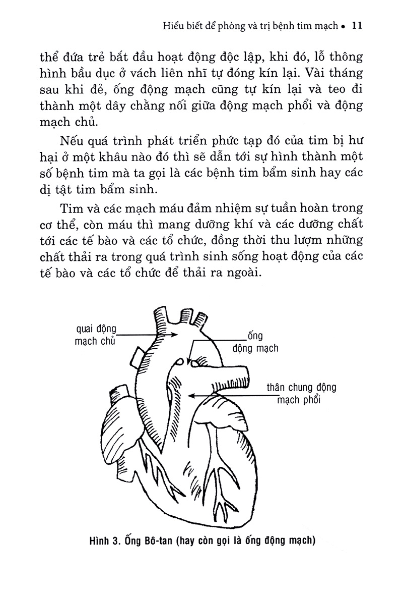 hiểu biết để phòng và trị bệnh tim mạch
