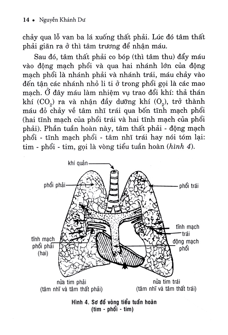 hiểu biết để phòng và trị bệnh tim mạch