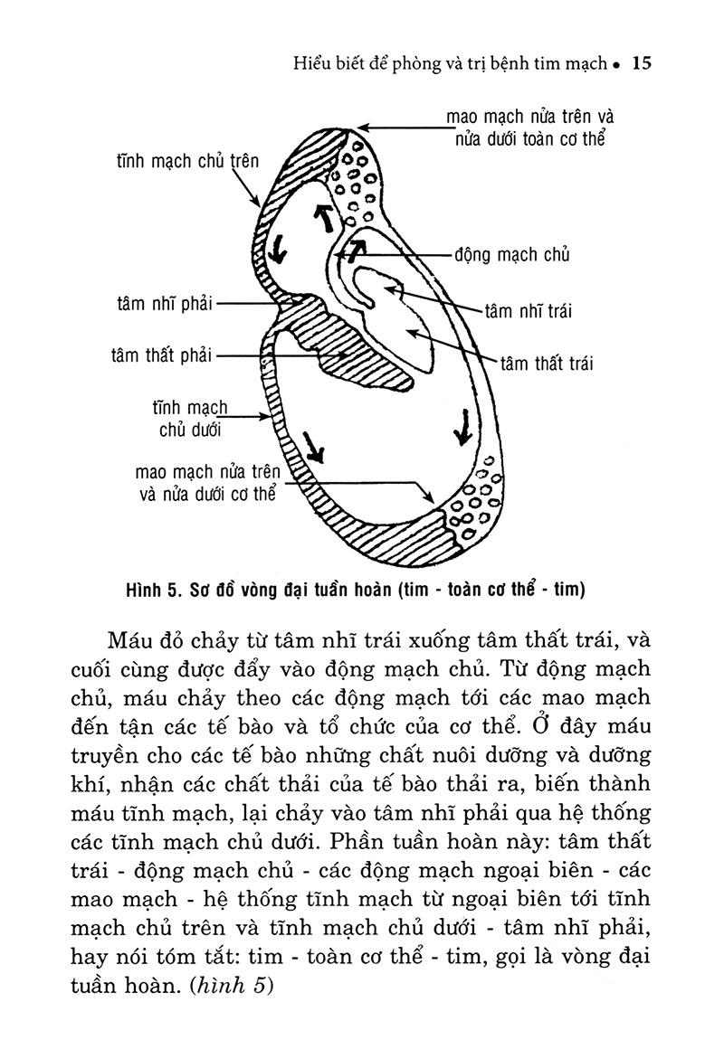 hiểu biết để phòng và trị bệnh tim mạch