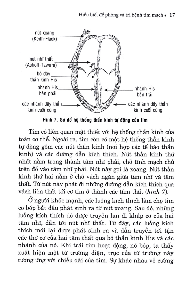 hiểu biết để phòng và trị bệnh tim mạch