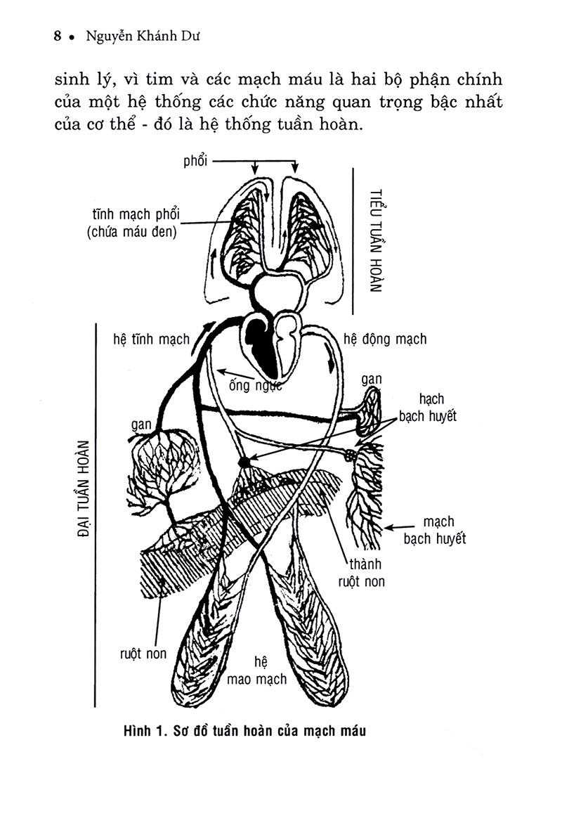 hiểu biết để phòng và trị bệnh tim mạch