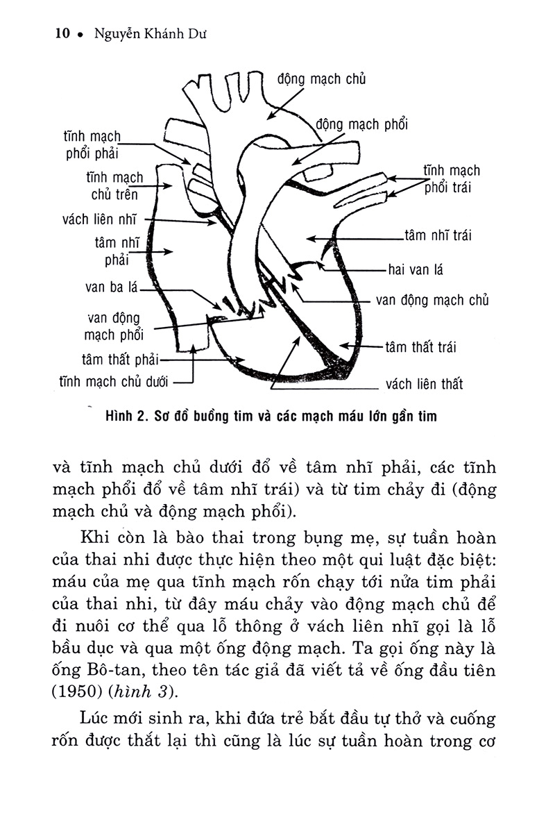 hiểu biết để phòng và trị bệnh tim mạch