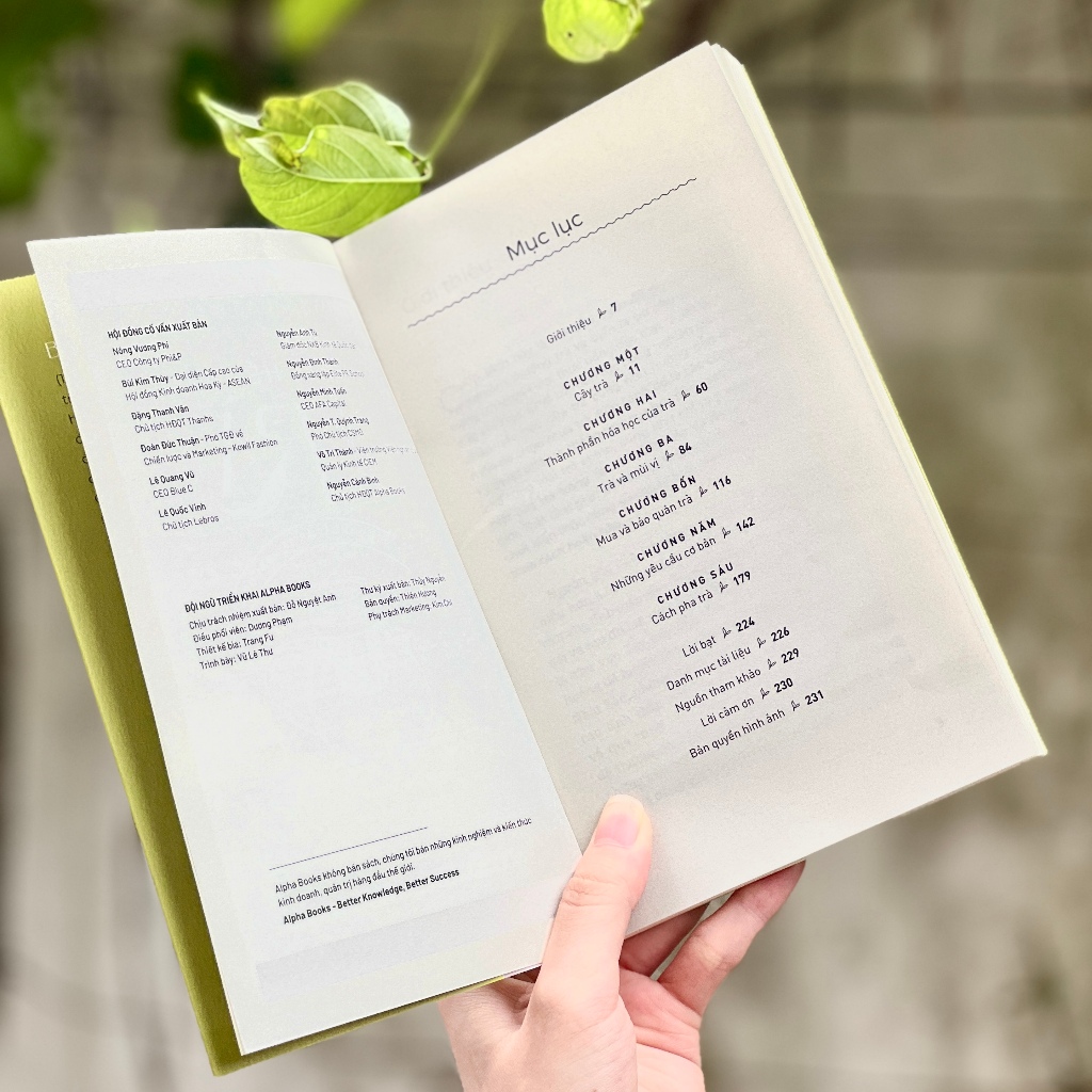 hiểu hết về trà