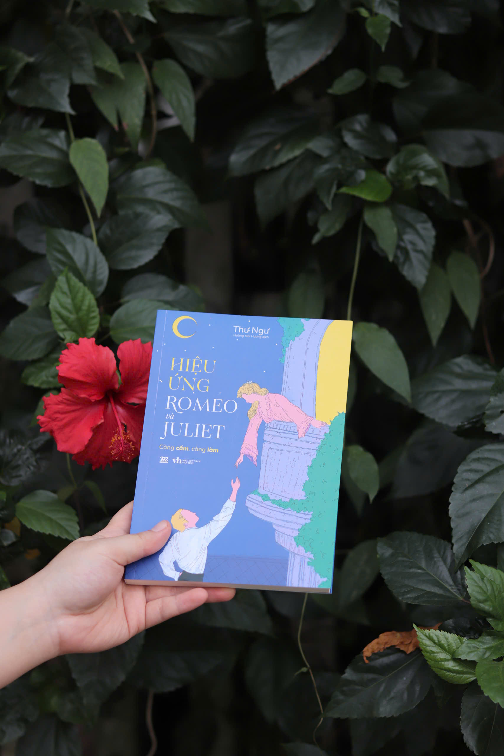 hiệu ứng romeo và juliet