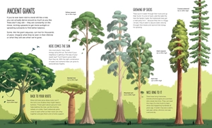 high: soar to new heights