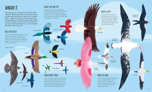 high: soar to new heights