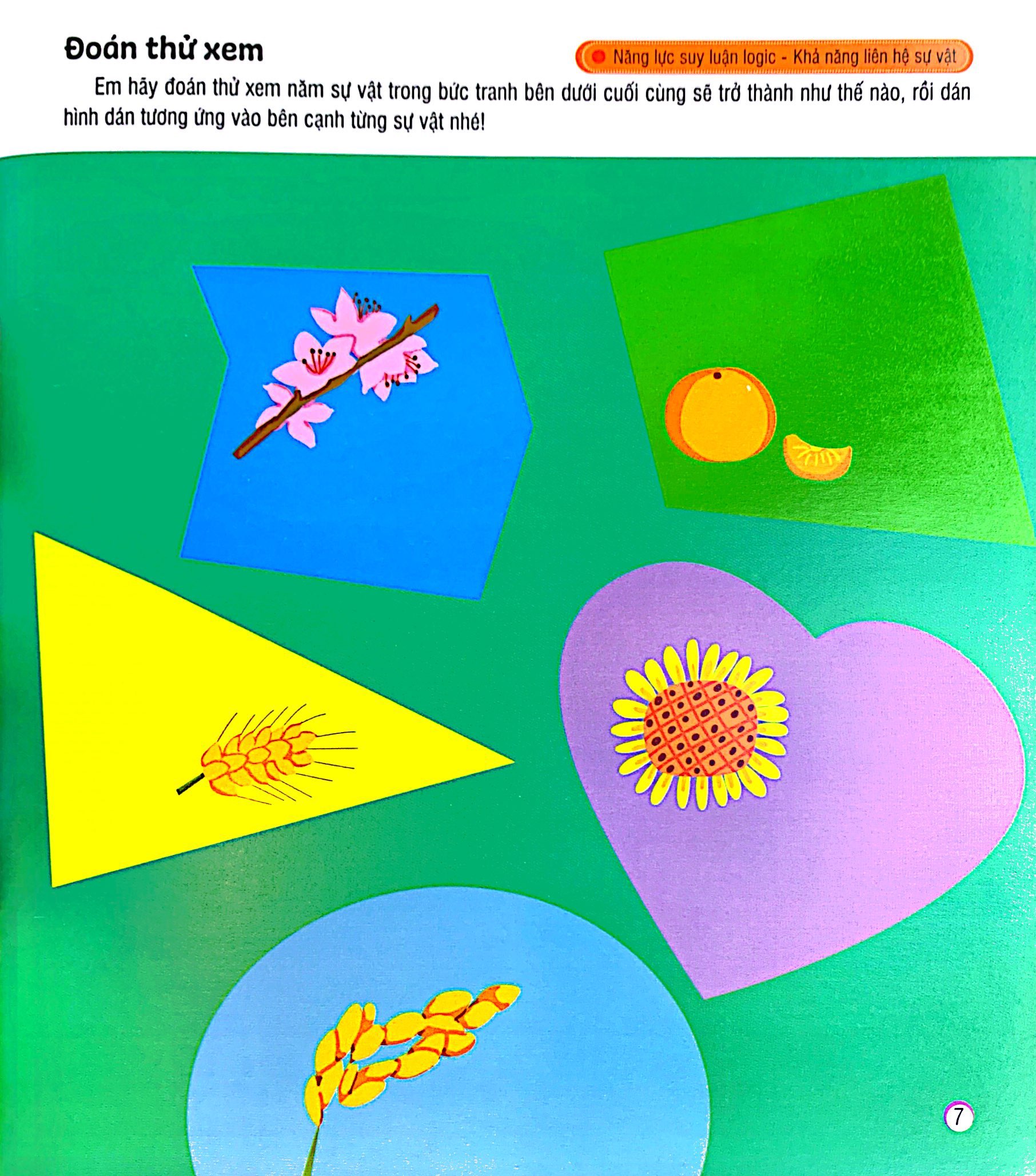 hình dán sáng tạo - phát triển iq và eq - rèn luyện khả năng suy luận logic