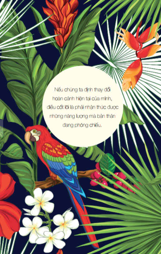 hoℹoponopono: sống như người hawaii - chấp nhận, biết ơn và tha thứ