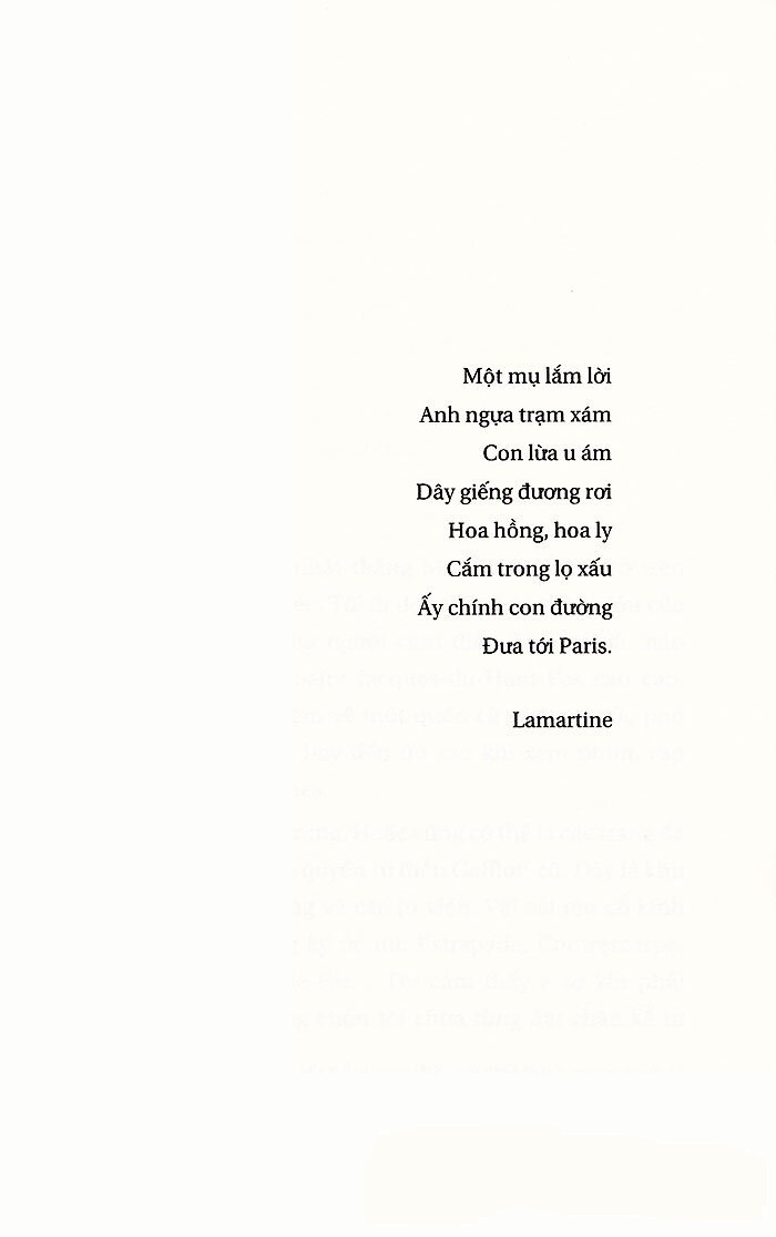 hoa của phế tích