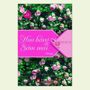 hoa hồng sớm mai