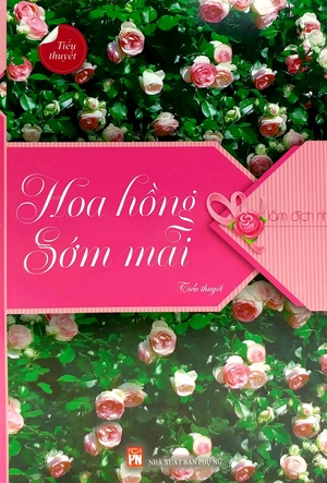 hoa hồng sớm mai