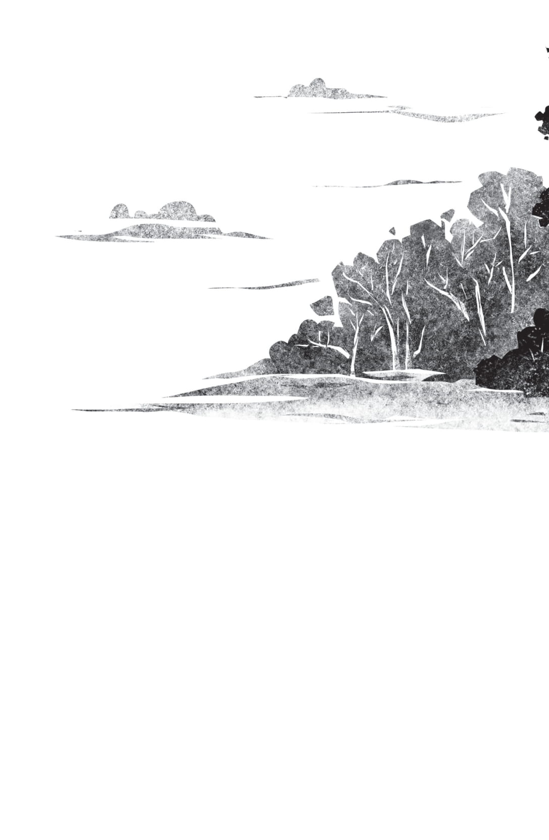 hoa hướng dương (tái bản 2025)