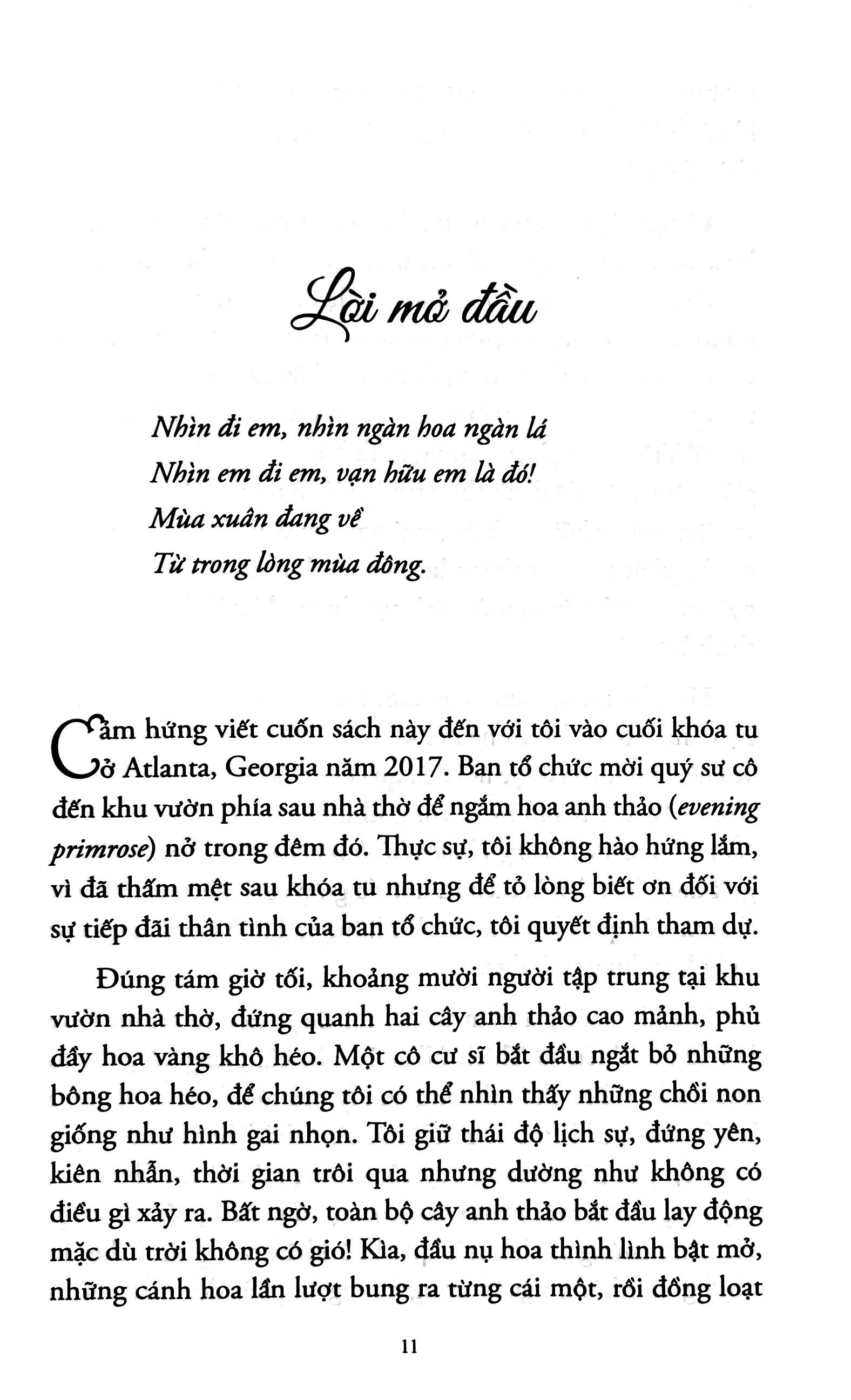 hoa nở trong đêm