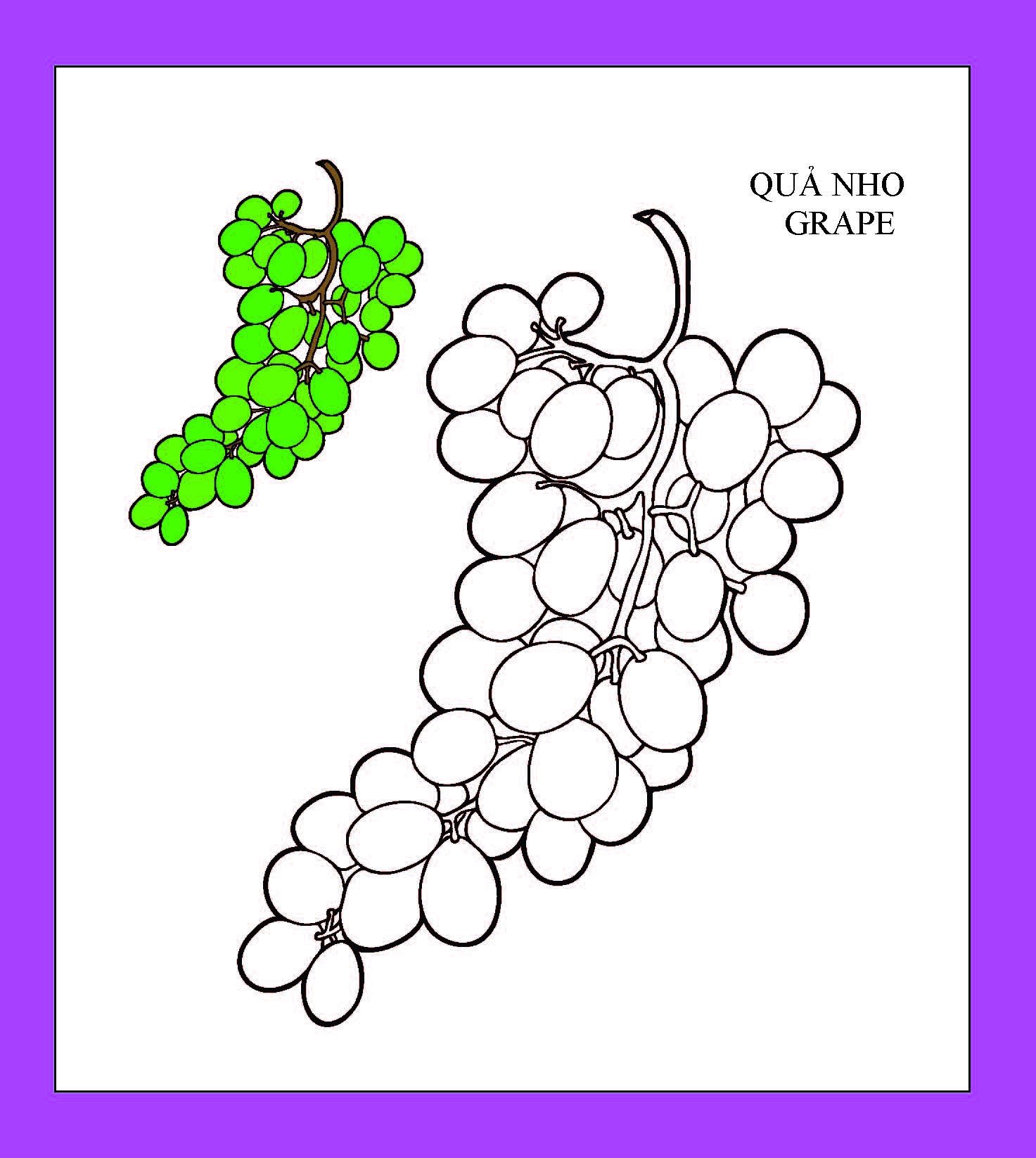 họa sĩ nhí tô màu - trái cây (tái bản 2023)