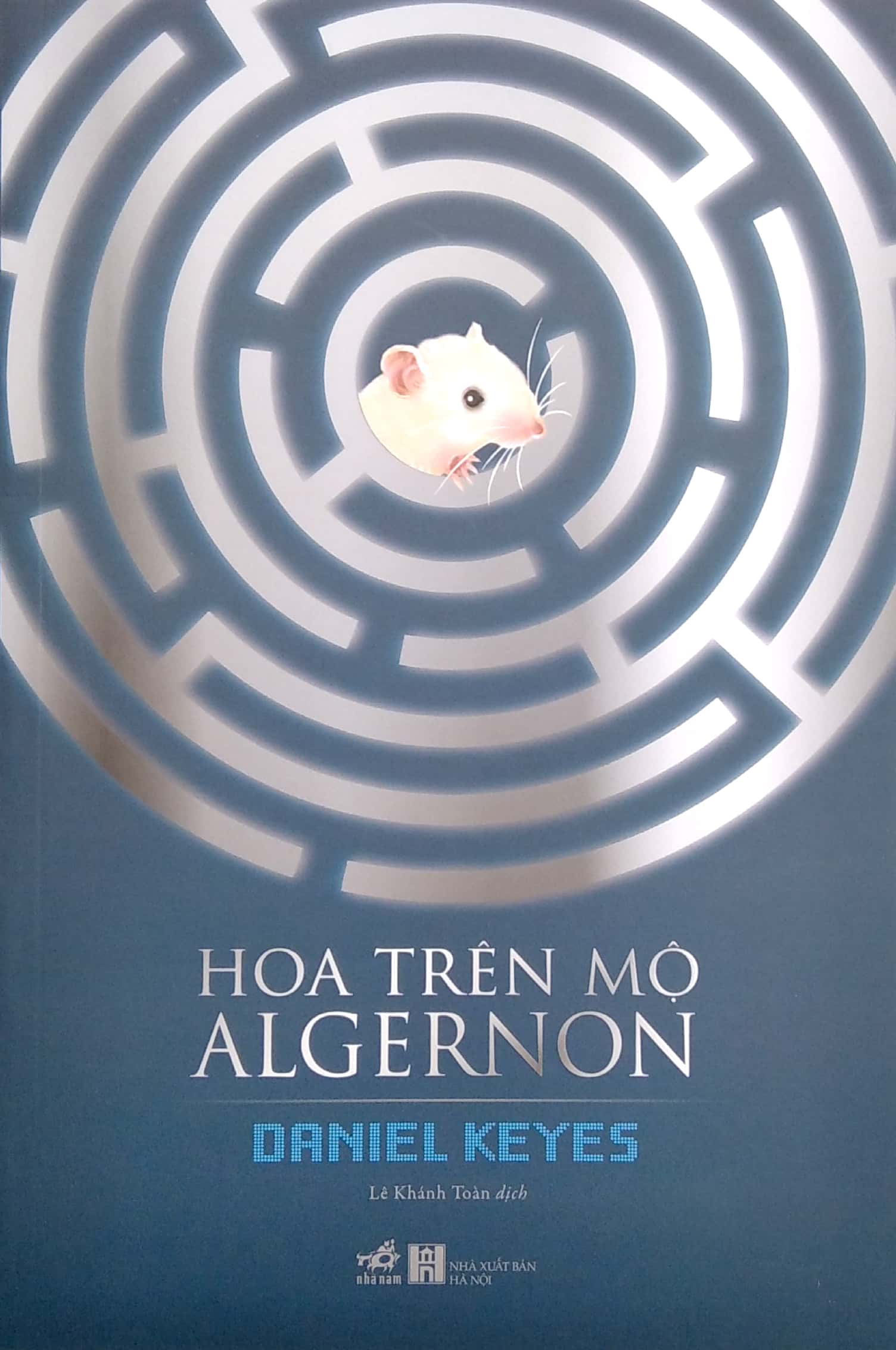 hoa trên mộ algernon