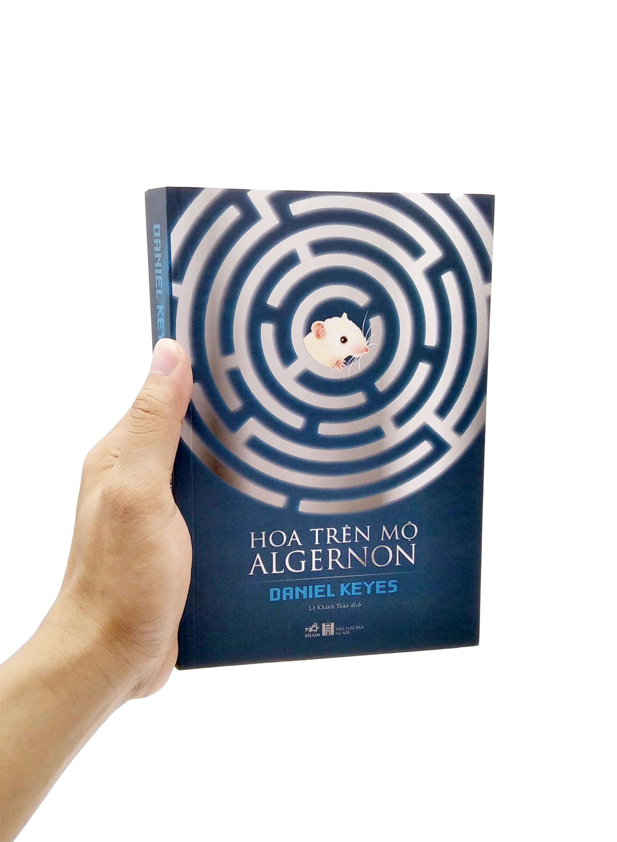 hoa trên mộ algernon