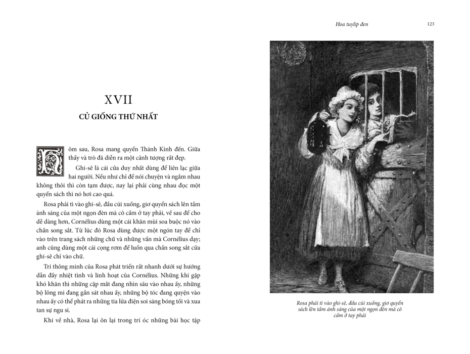 hoa tuylip đen (tái bản 2020)