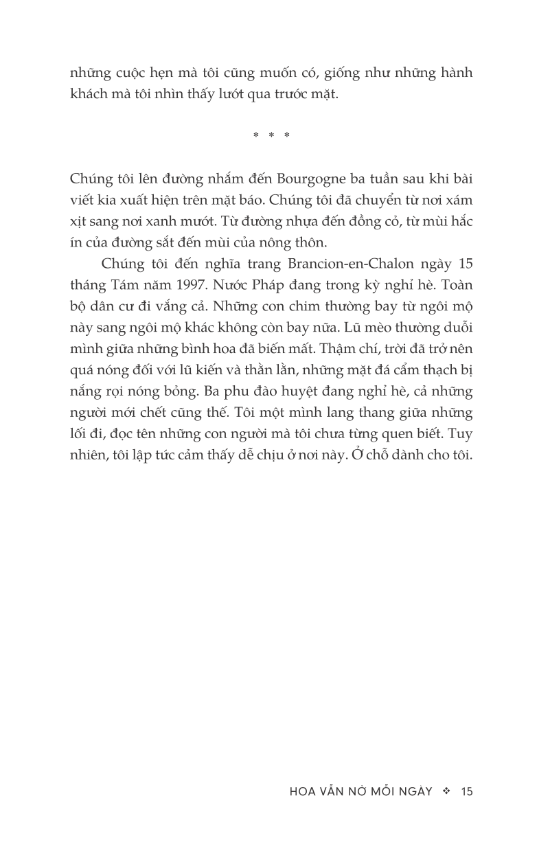 hoa vẫn nở mỗi ngày