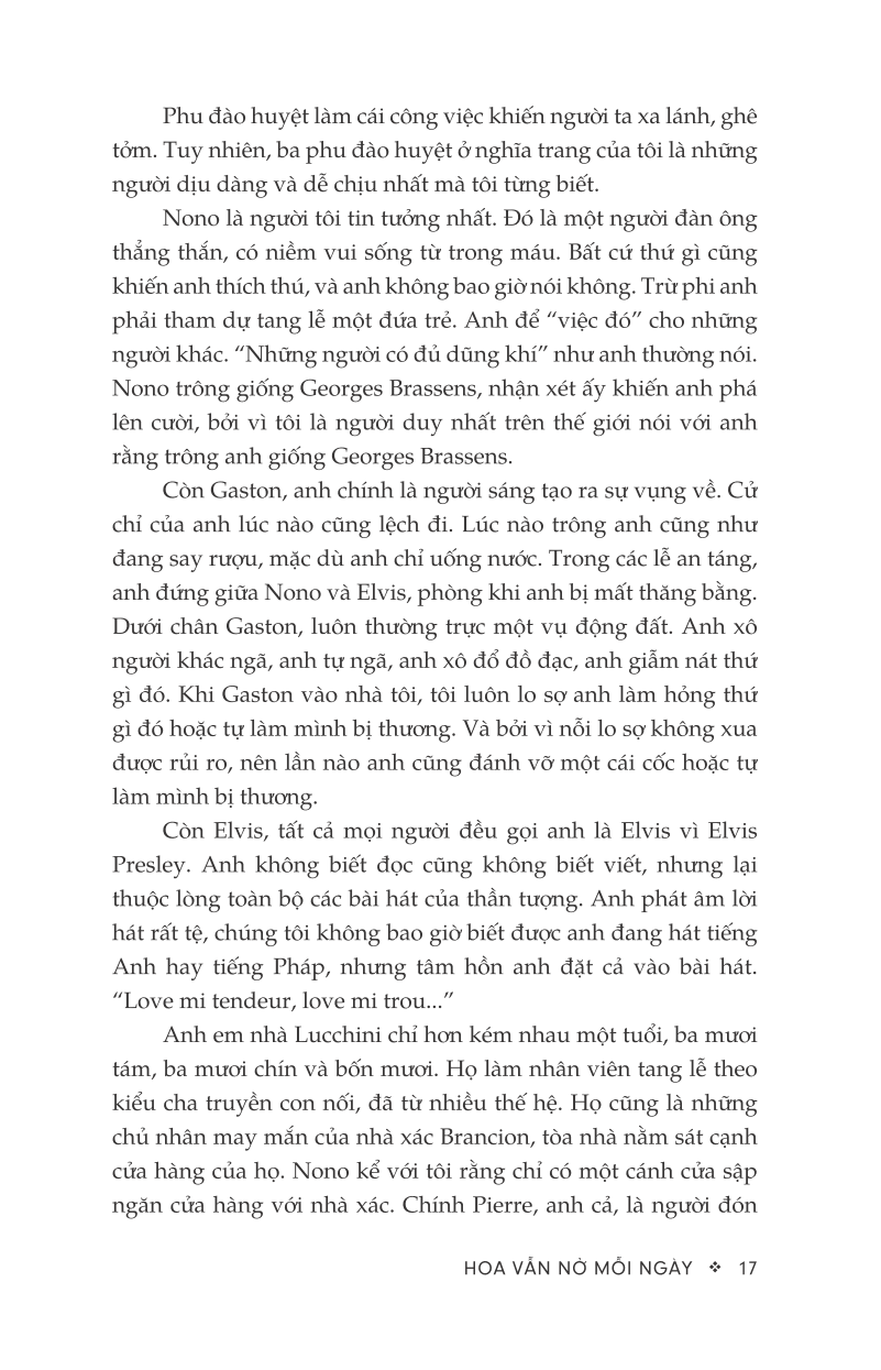 hoa vẫn nở mỗi ngày