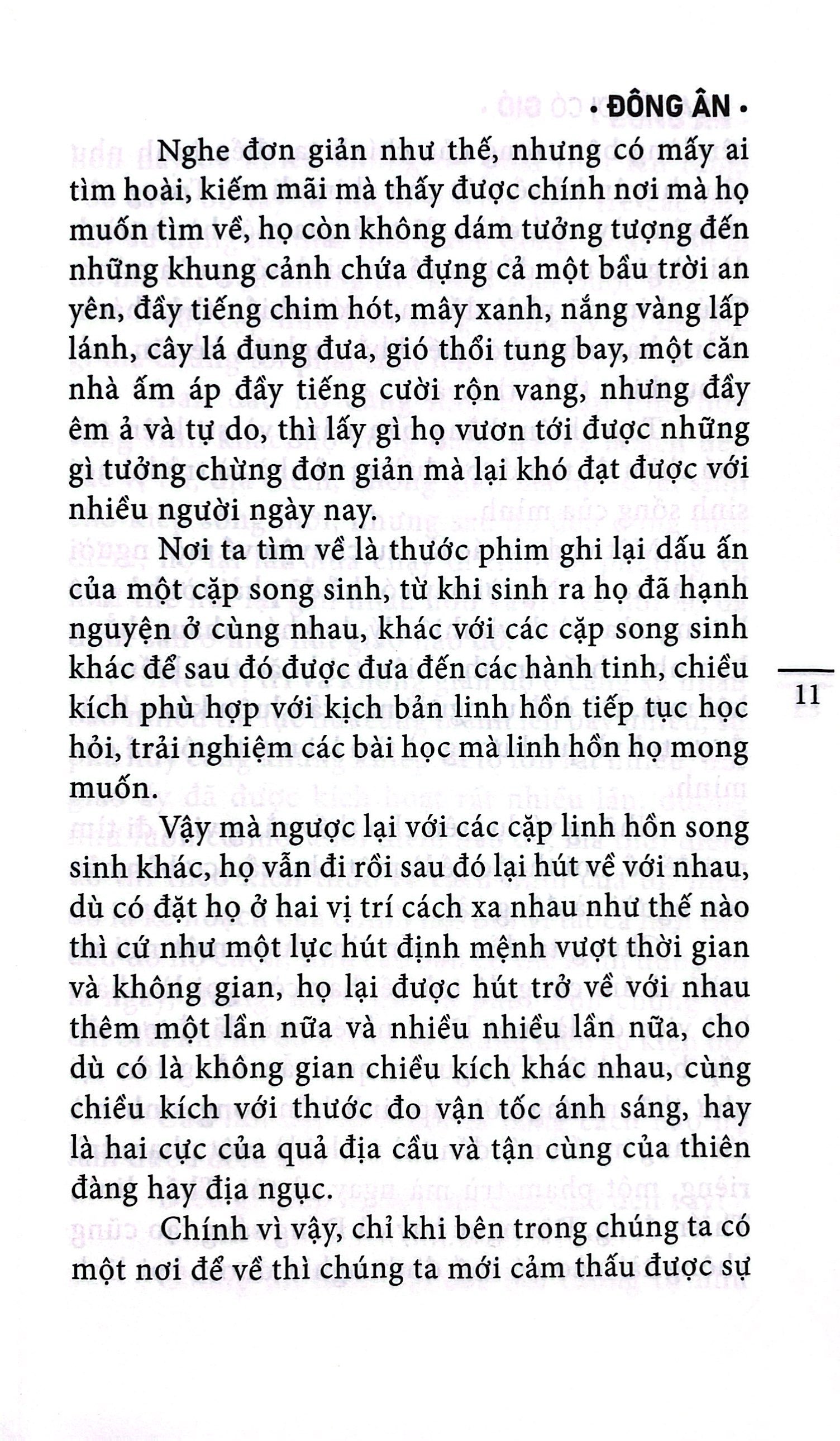 hoa về nơi có gió