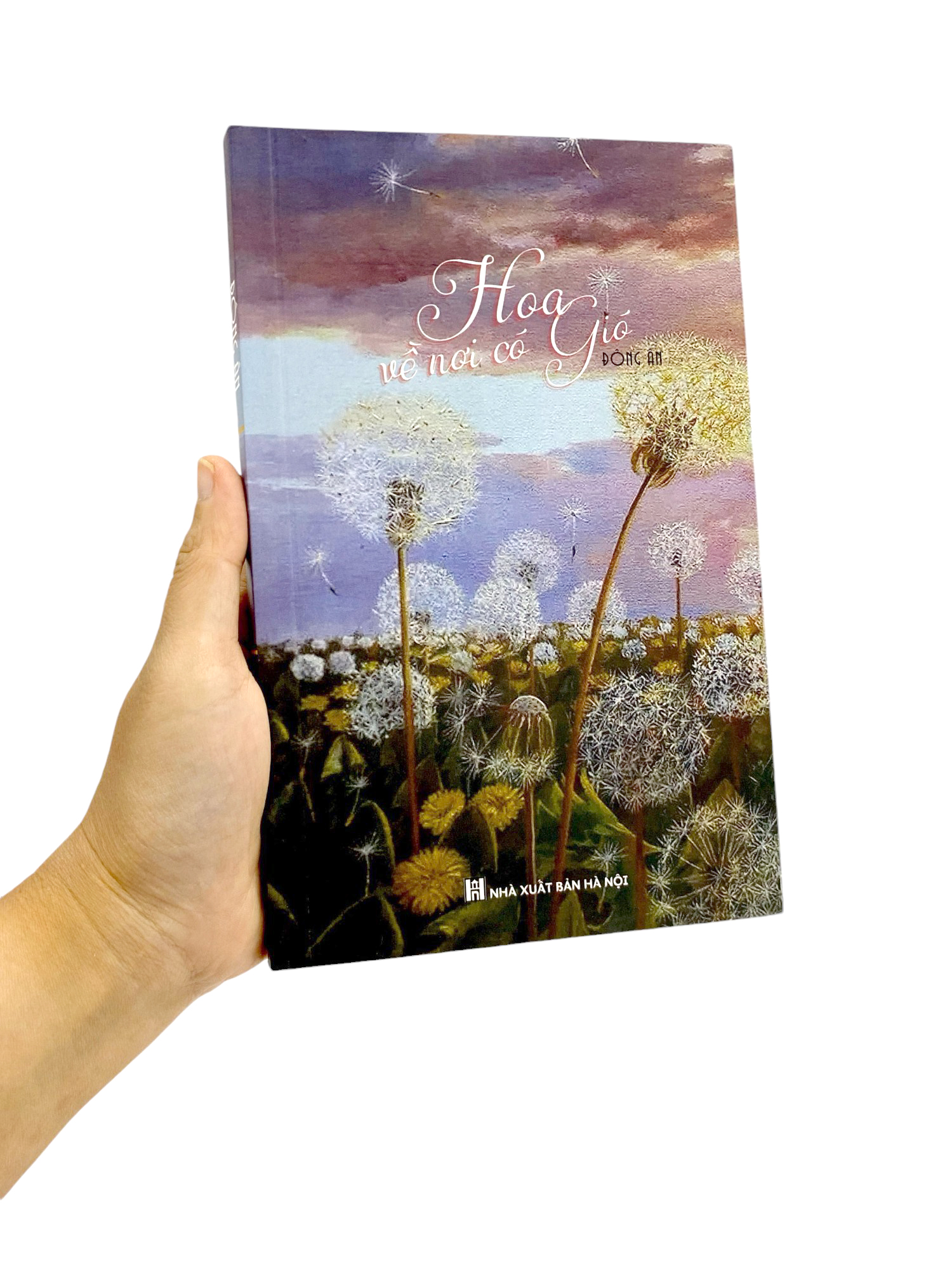 hoa về nơi có gió