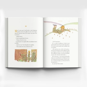 hoàng tử bé - le petit prince (song ngữ việt - pháp)