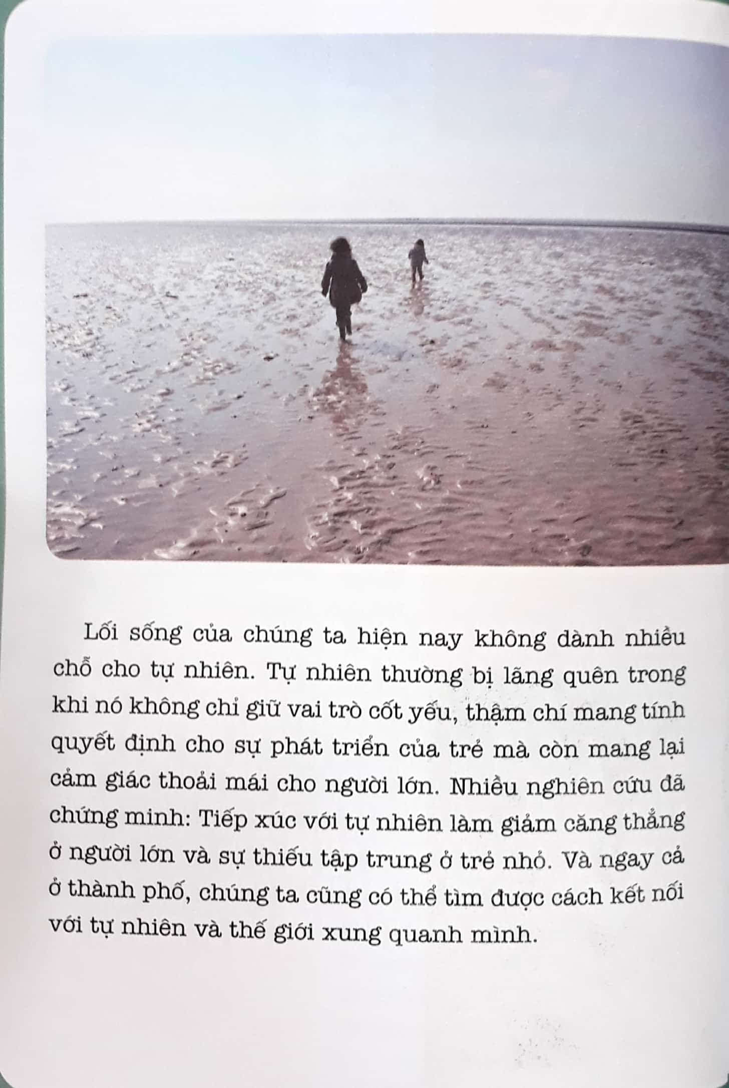 học montessori để dạy trẻ theo phương pháp montessori - 100 hoạt động montessori: con không muốn làm cây trong lồng kính