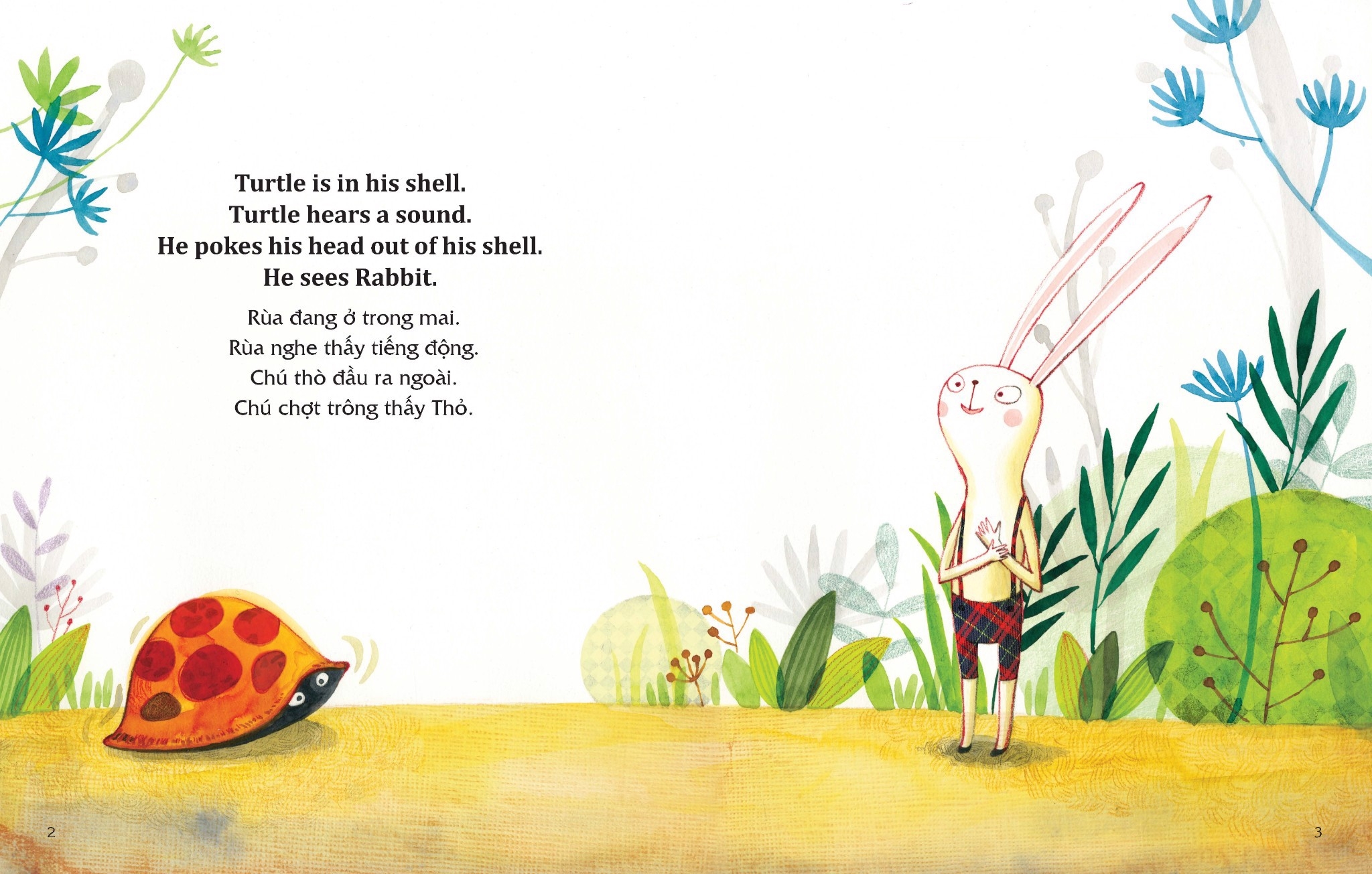 học tiếng anh cùng truyện ngụ ngôn aesop - thỏ và rùa - the rabbit and the turtle