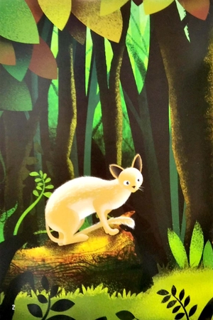 học toán qua truyện ngụ ngôn - cáo già và mèo rừng