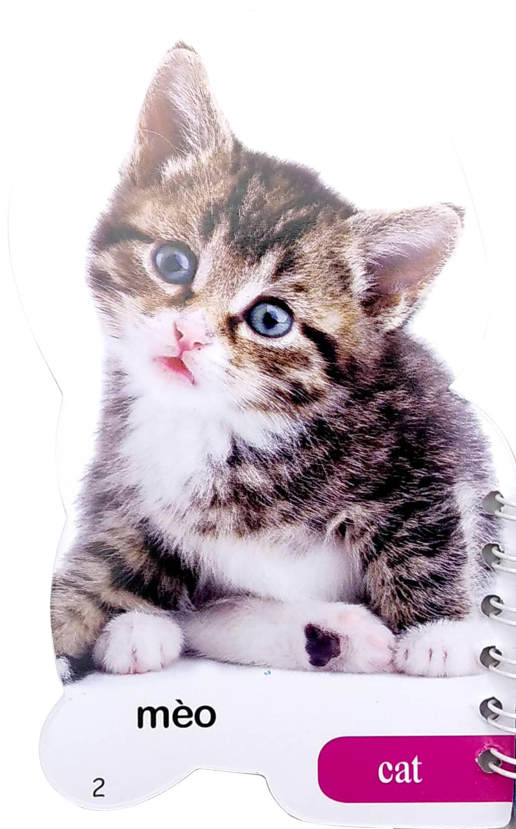 học từ theo chủ đề - động vật