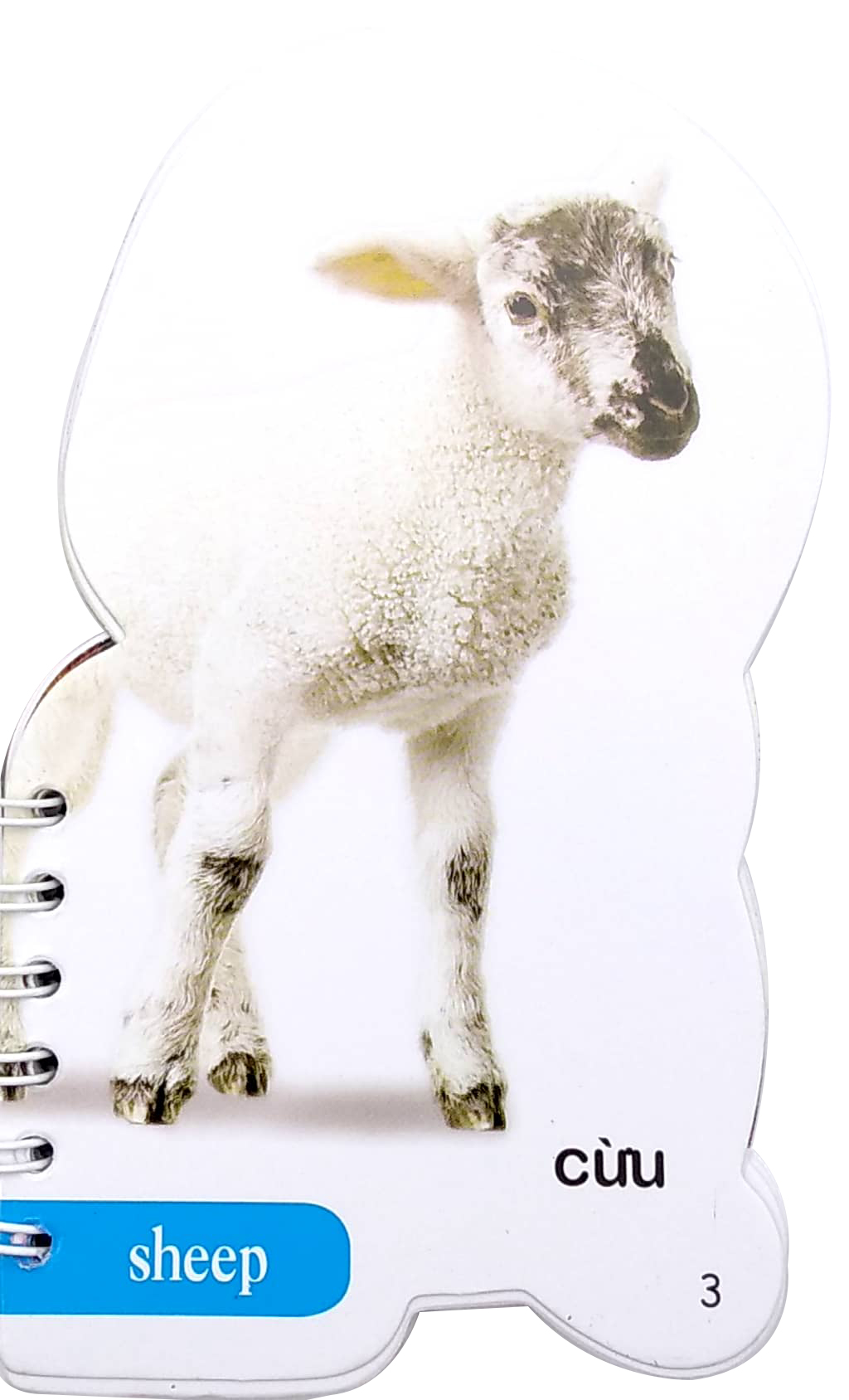 học từ theo chủ đề - động vật