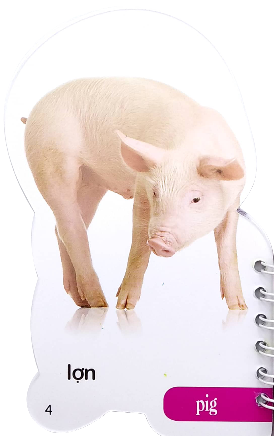 học từ theo chủ đề - động vật