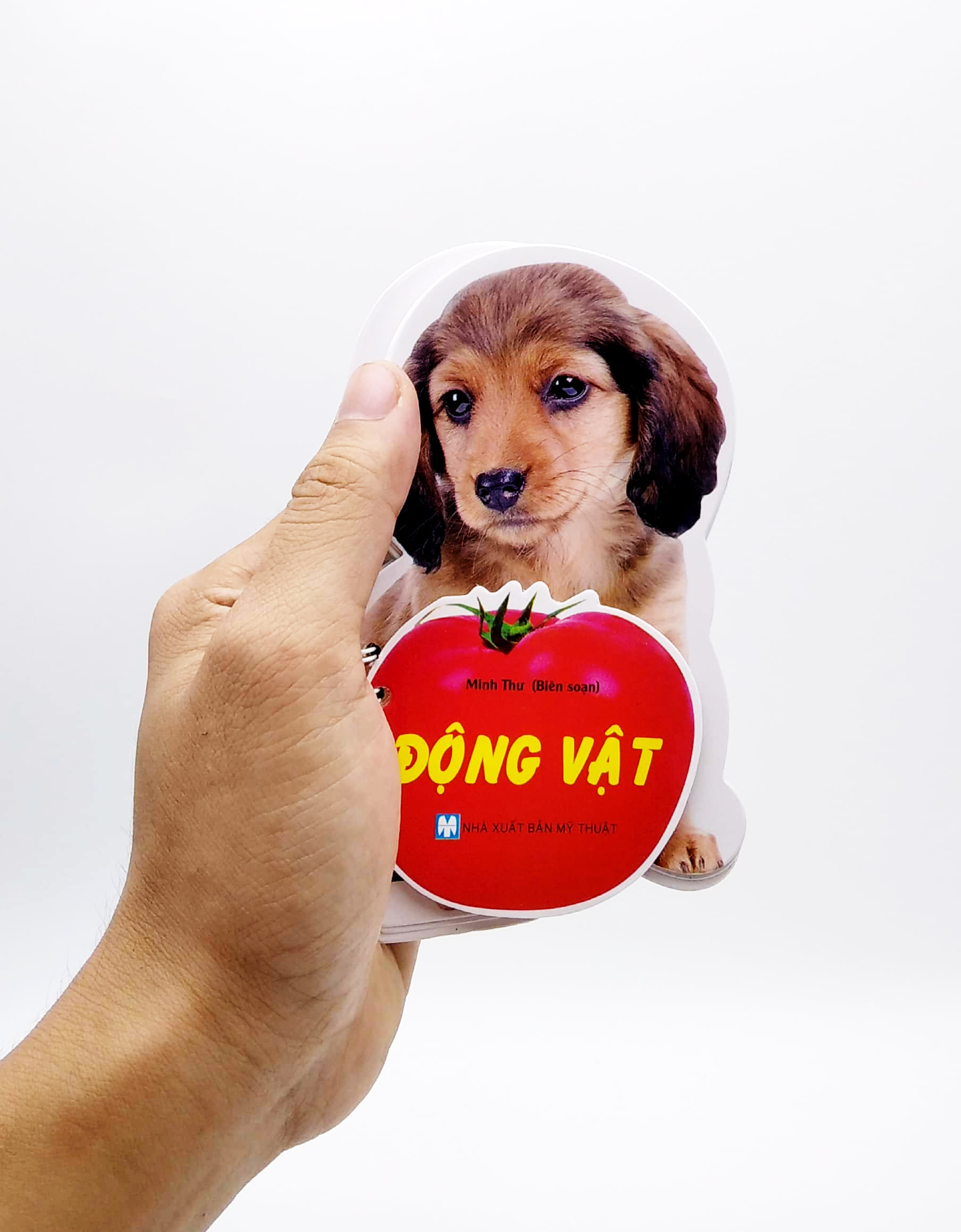 học từ theo chủ đề - động vật