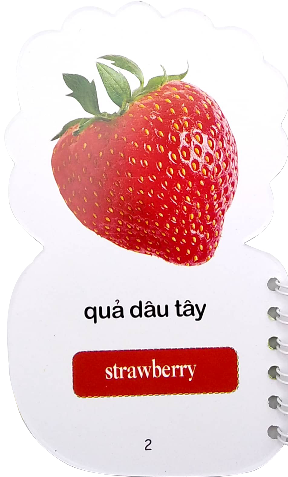 học từ theo chủ đề - rau củ quả