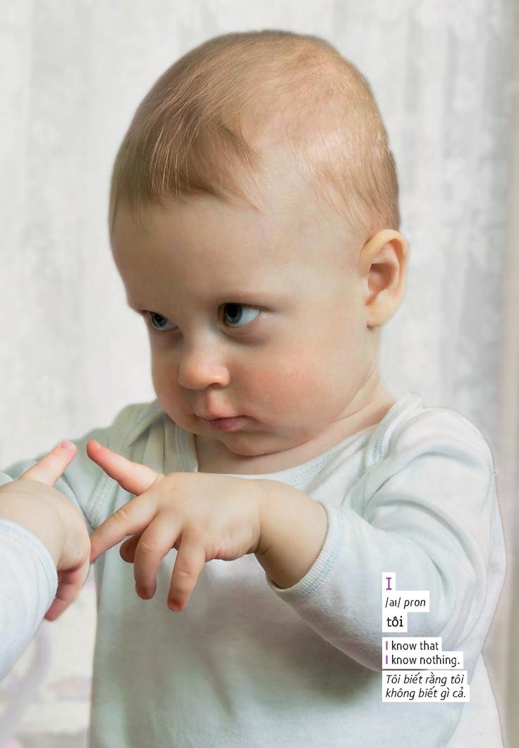 học tự vựng tiếng anh qua hình và ví dụ minh họa