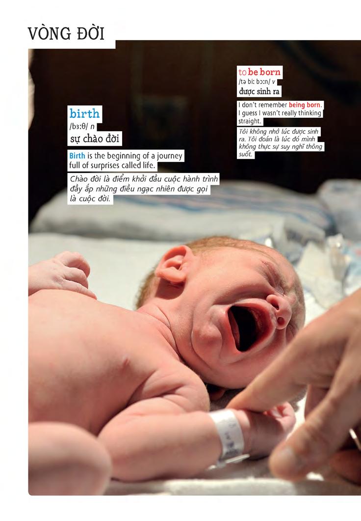 học tự vựng tiếng anh qua hình và ví dụ minh họa