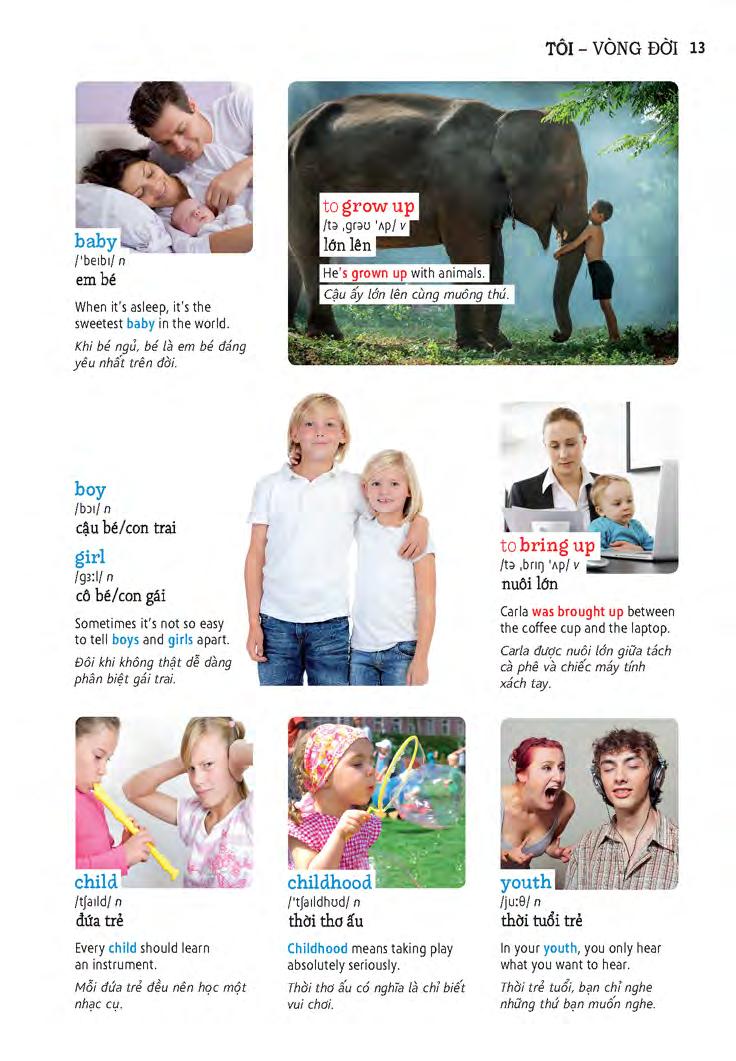 học tự vựng tiếng anh qua hình và ví dụ minh họa