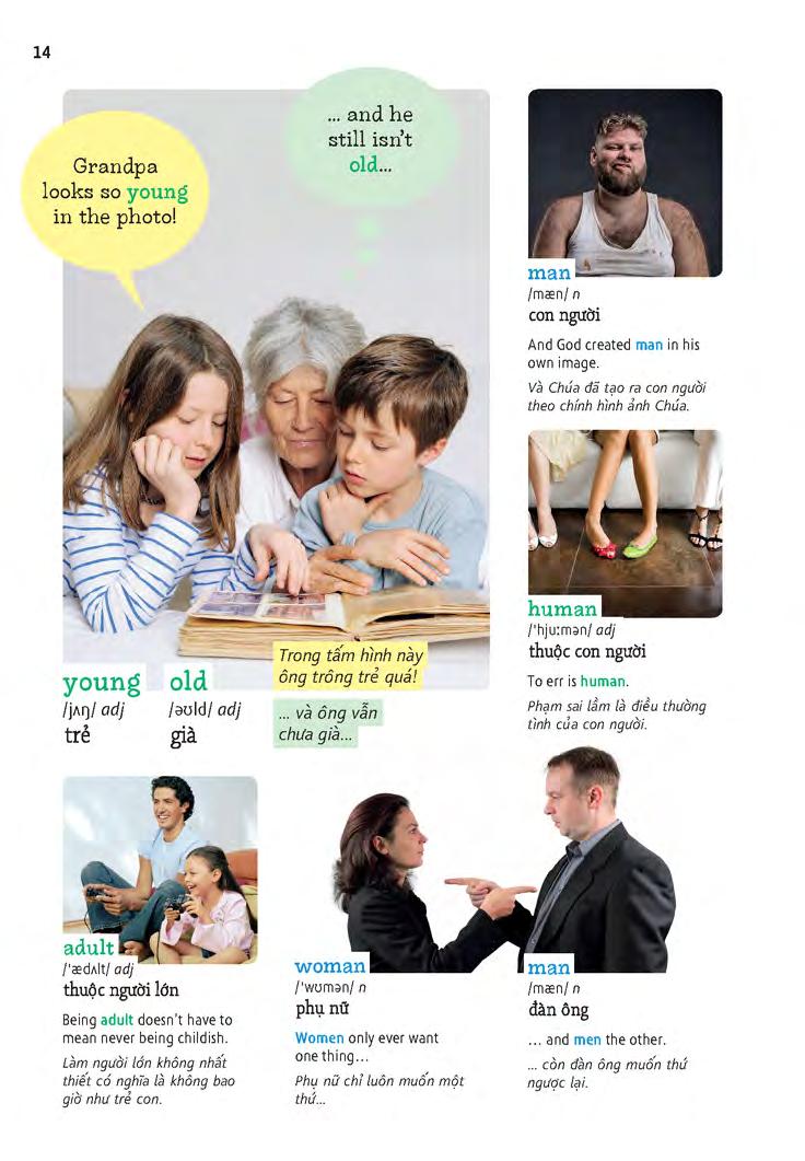 học tự vựng tiếng anh qua hình và ví dụ minh họa