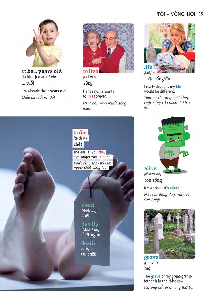 học tự vựng tiếng anh qua hình và ví dụ minh họa