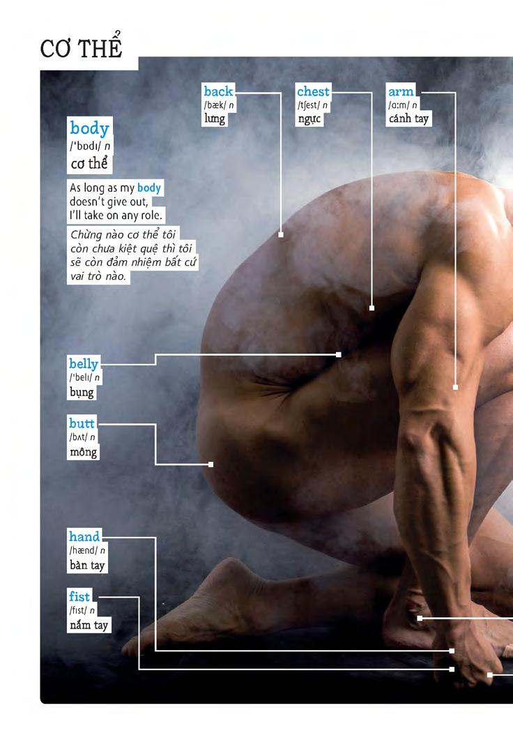 học tự vựng tiếng anh qua hình và ví dụ minh họa