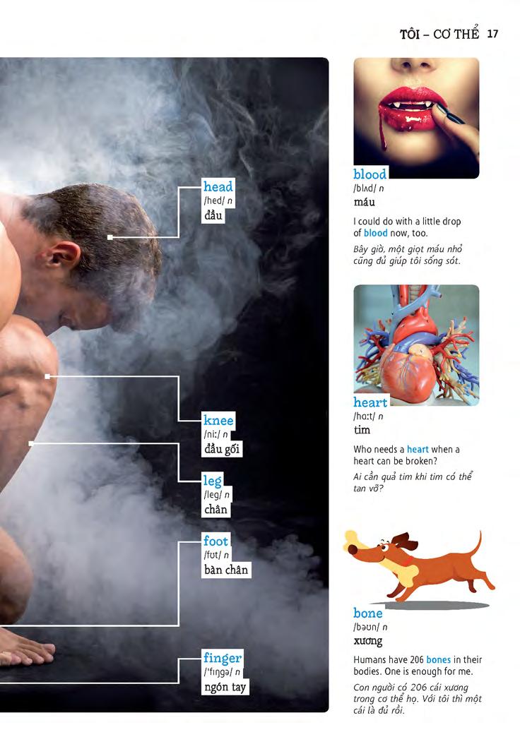 học tự vựng tiếng anh qua hình và ví dụ minh họa