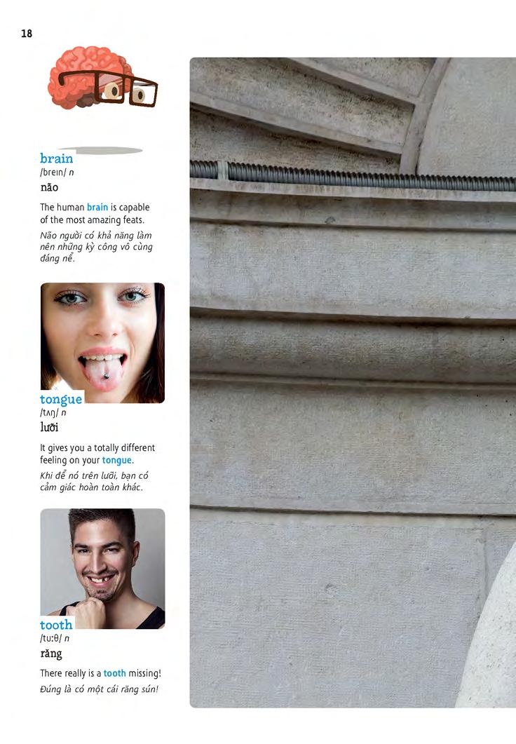 học tự vựng tiếng anh qua hình và ví dụ minh họa