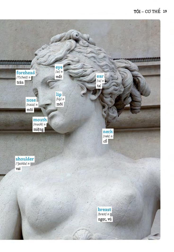 học tự vựng tiếng anh qua hình và ví dụ minh họa